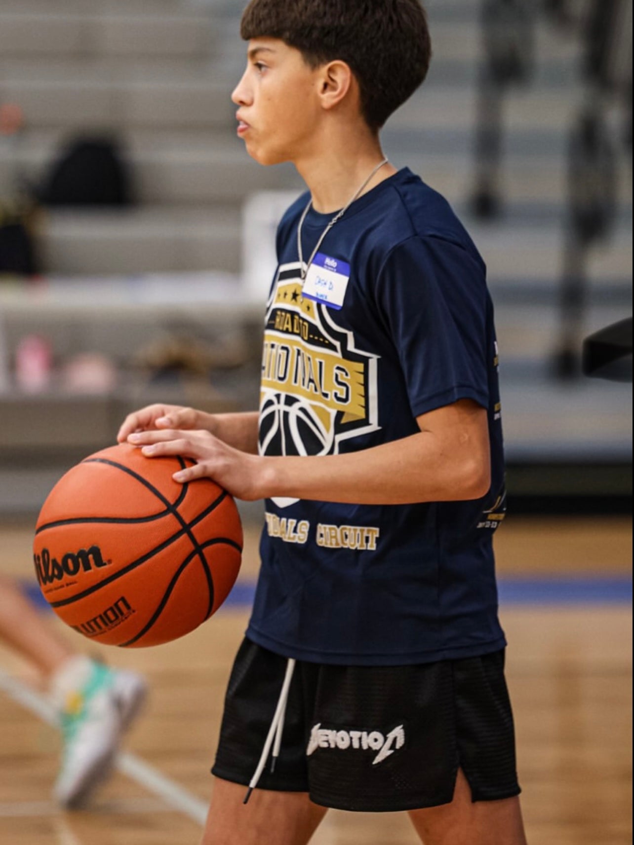 Lux Embroidered Mesh Black Shorts