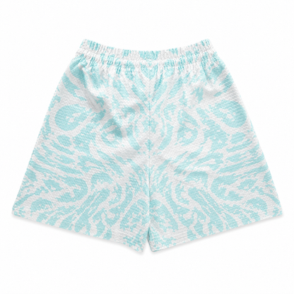 Aqua Storm Mesh Shorts